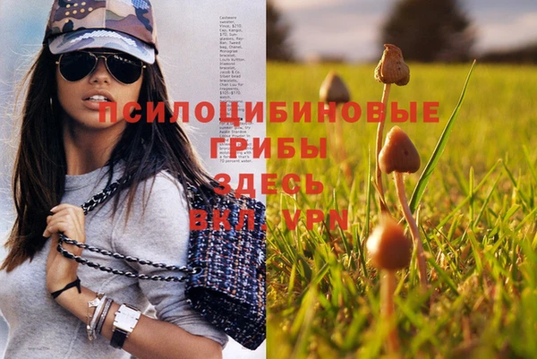 трава Балахна