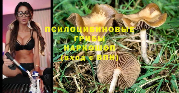 трава Балахна